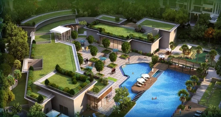 DELUXE DXP Commercial