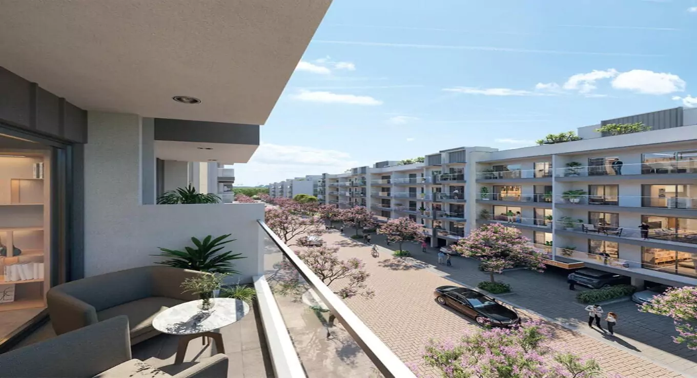 Wal Verde 92 - Image 1