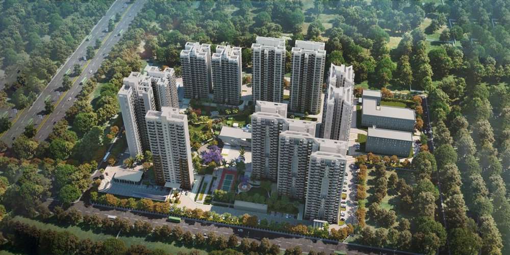 Wal Verde 92 - Image 1